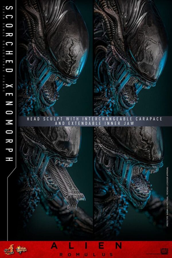 Alien: Romulus Movie Masterpiece Action Figure 1/6 Scorched Xenomorph (Acconto Preordine) - immagine 2