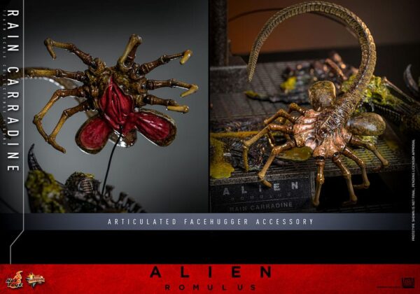 Alien: Romulus Movie Masterpiece Action Figure 1/6 Rain Carradine (Acconto Preordine) - immagine 10